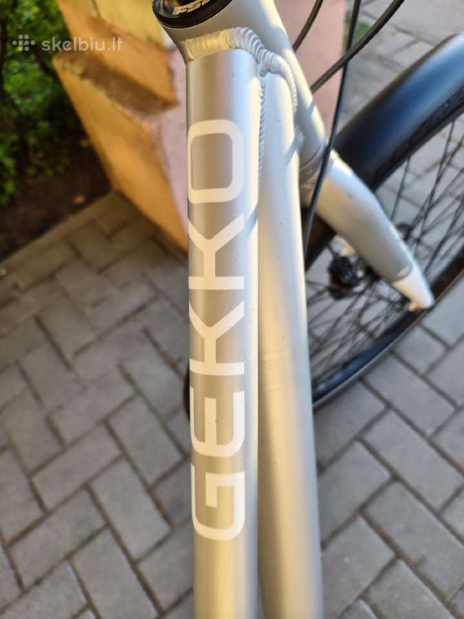 Gekko Flow Trg - nuotraukos Nr. 2