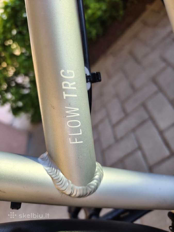 Gekko Flow Trg - nuotraukos Nr. 3