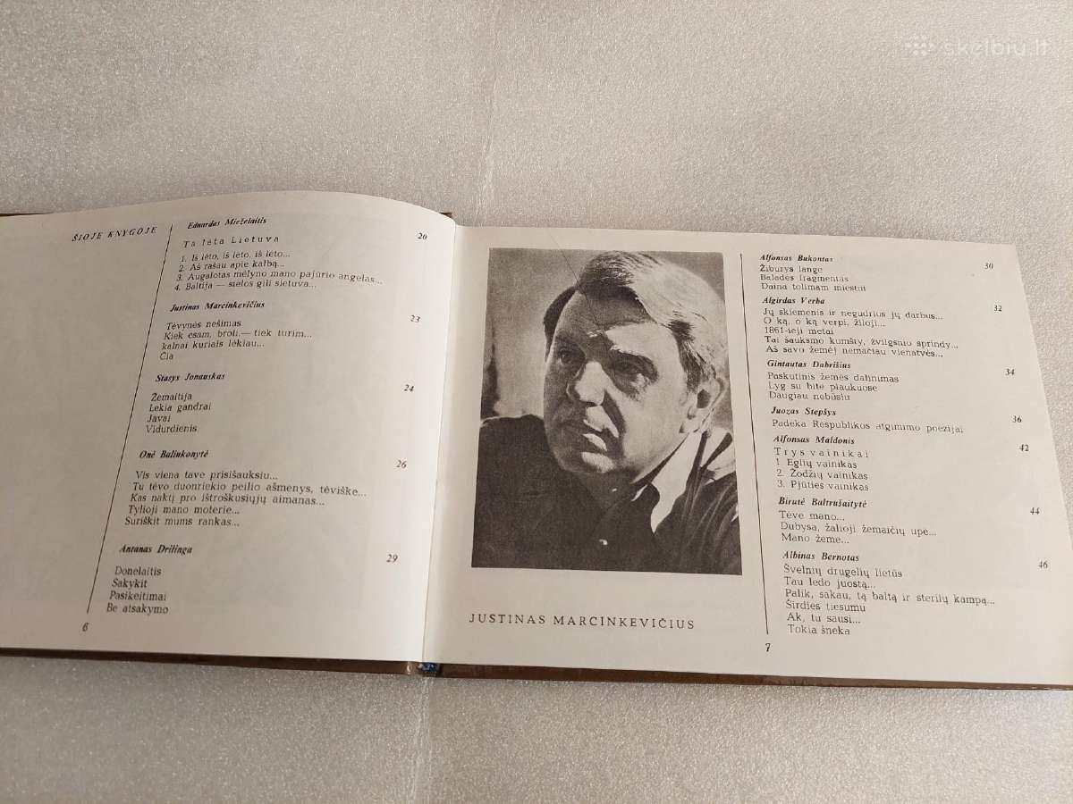 Poezijos pavasaris '80 - nuotraukos Nr. 3