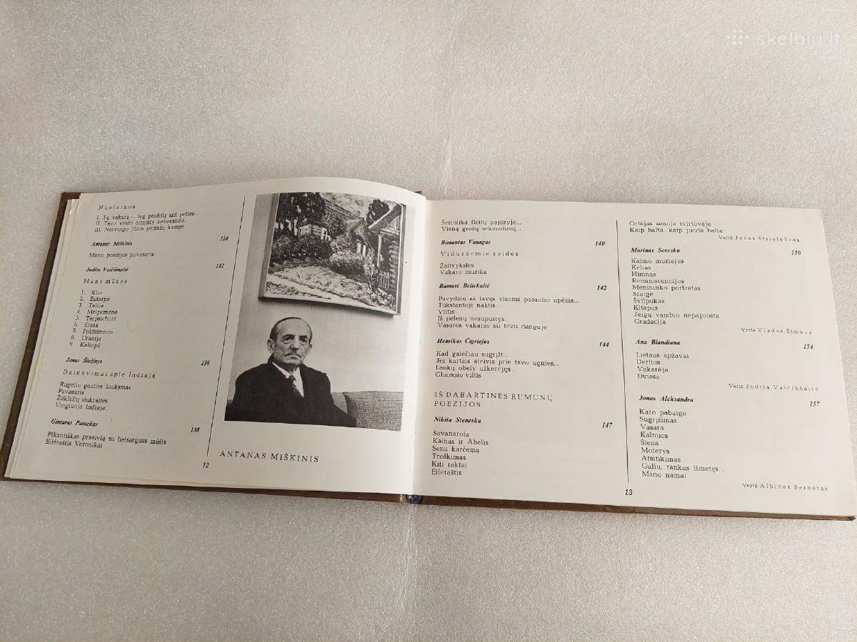 Poezijos pavasaris '80 - nuotraukos Nr. 6