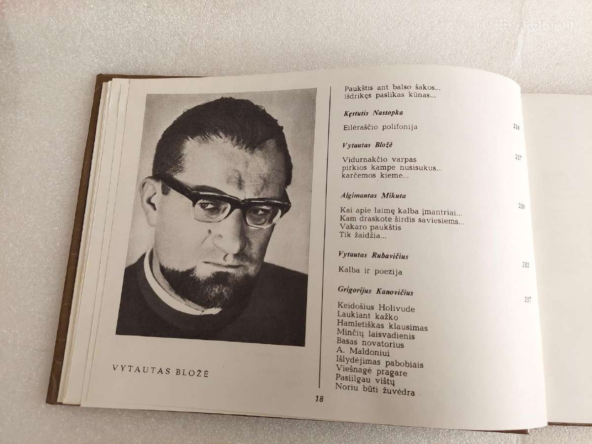 Poezijos pavasaris '80 - nuotraukos Nr. 9