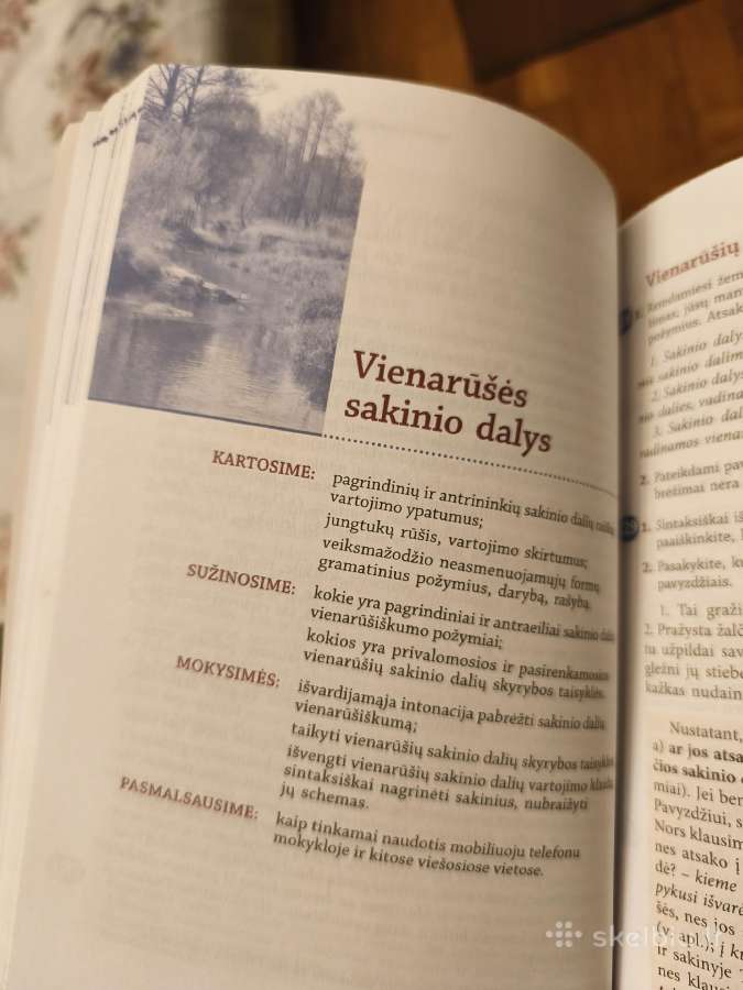 Lietuvių kalba 8 klasei. Antroji knyga - nuotraukos Nr. 5