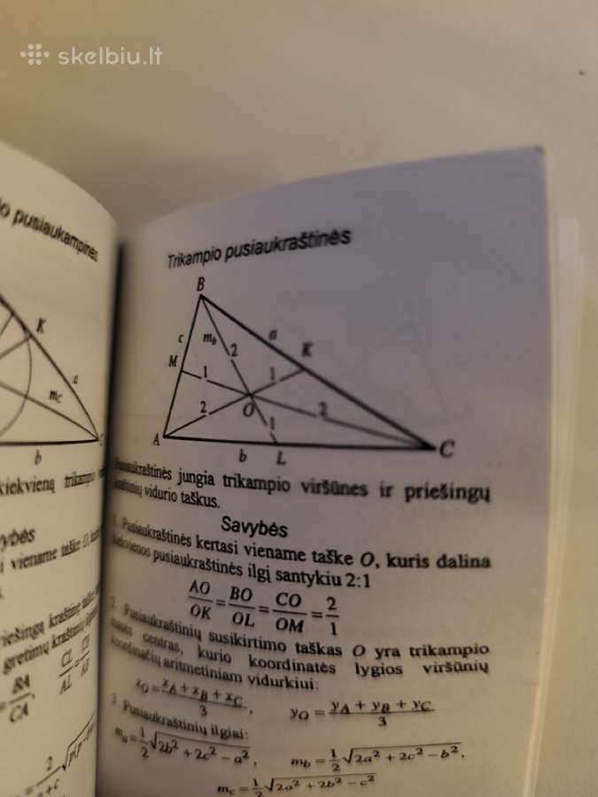 Jonas Kleiza – Mokyklinės matematikos formulės - nuotraukos Nr. 3