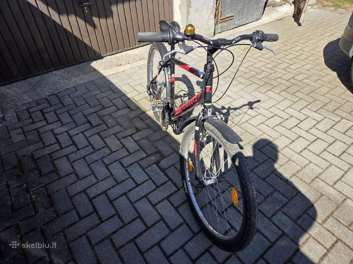 26" ratų kalnų dviratis 18 bėgių Dema Ecco 1.0 - nuotraukos Nr. 5