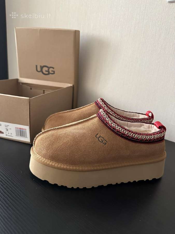 Ugg tazz batai