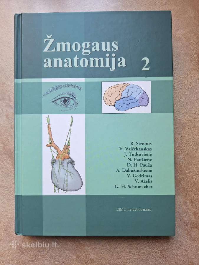 Žmogaus anatomija 2