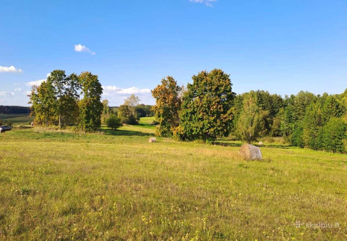 Paruošta sodyba gamtoje (9,59 ha) su projektais