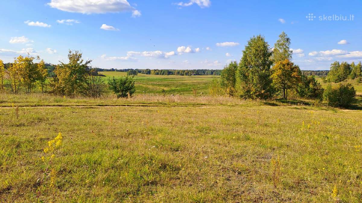 Paruošta sodyba gamtoje (9,59 ha) su projektais - nuotraukos Nr. 3