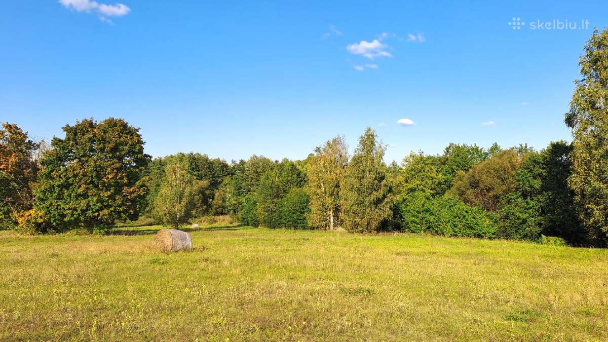 Paruošta sodyba gamtoje (9,59 ha) su projektais - nuotraukos Nr. 4