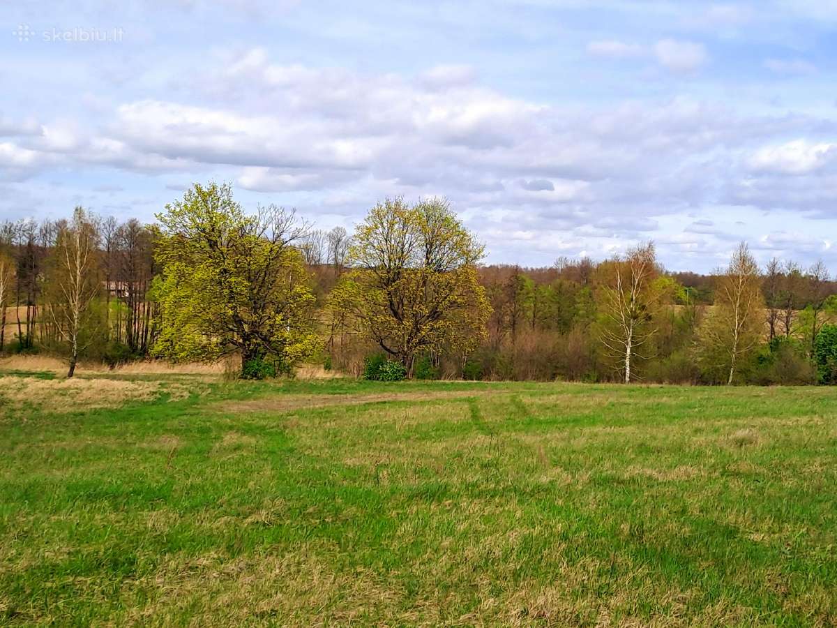 Paruošta sodyba gamtoje (9,59 ha) su projektais - nuotraukos Nr. 5
