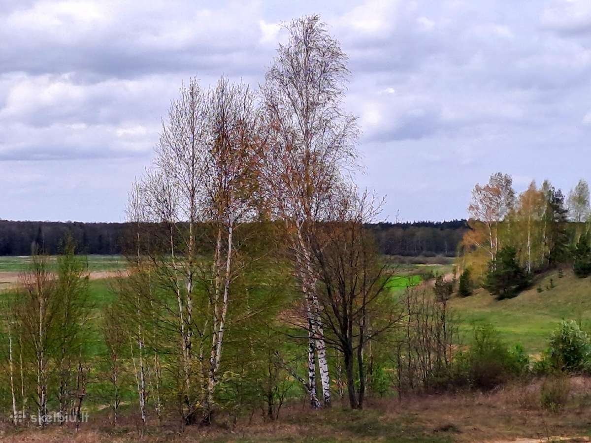 Paruošta sodyba gamtoje (9,59 ha) su projektais - nuotraukos Nr. 6