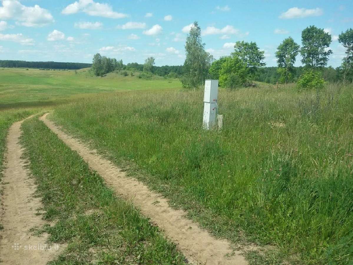 Paruošta sodyba gamtoje (9,59 ha) su projektais - nuotraukos Nr. 7