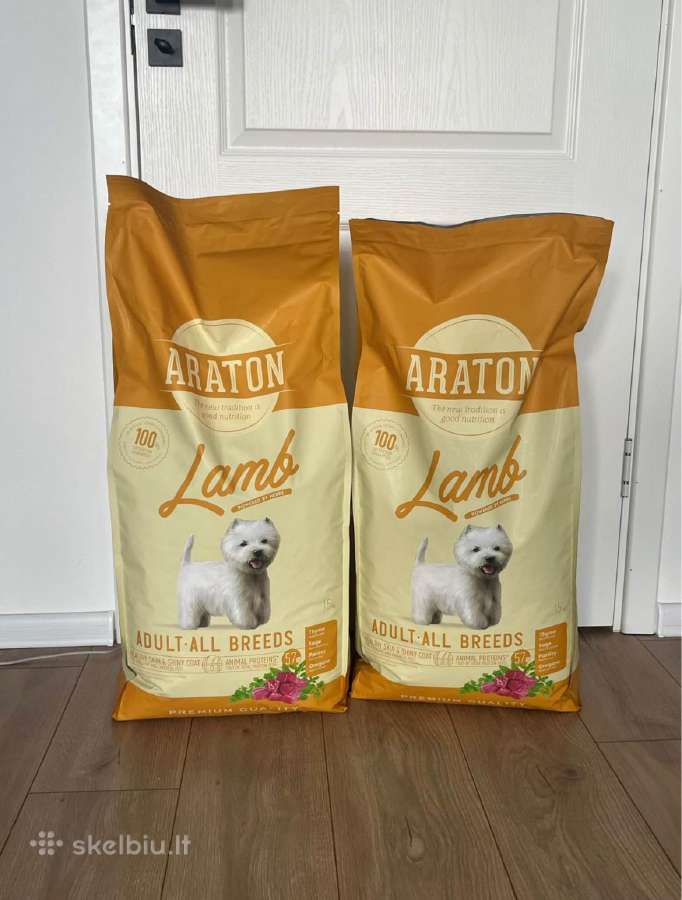 Maistas araton