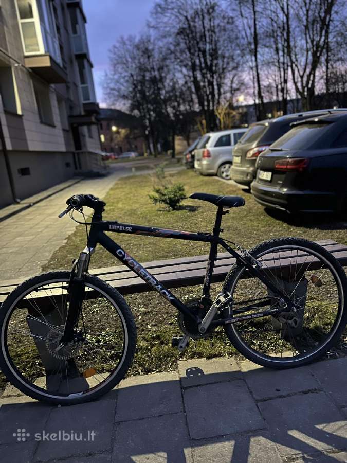Kalnų dviratis