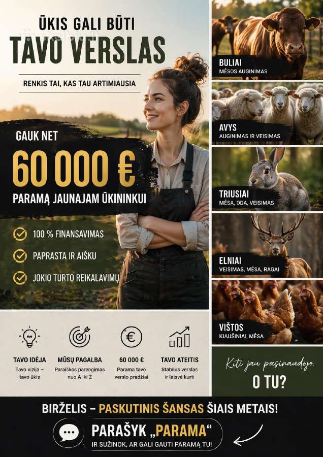 Es Projektaipaskolosverslo planai - nuotraukos Nr. 14