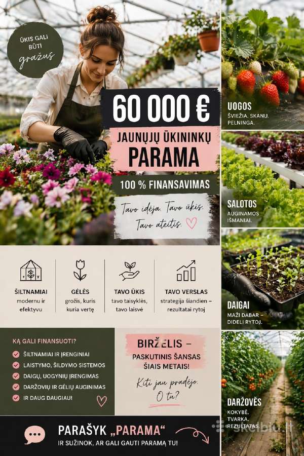 Es Projektaipaskolosverslo planai - nuotraukos Nr. 12