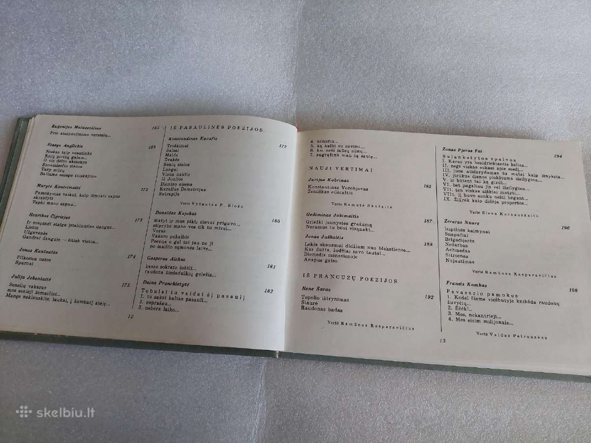 Poezijos pavasaris '85 - nuotraukos Nr. 7