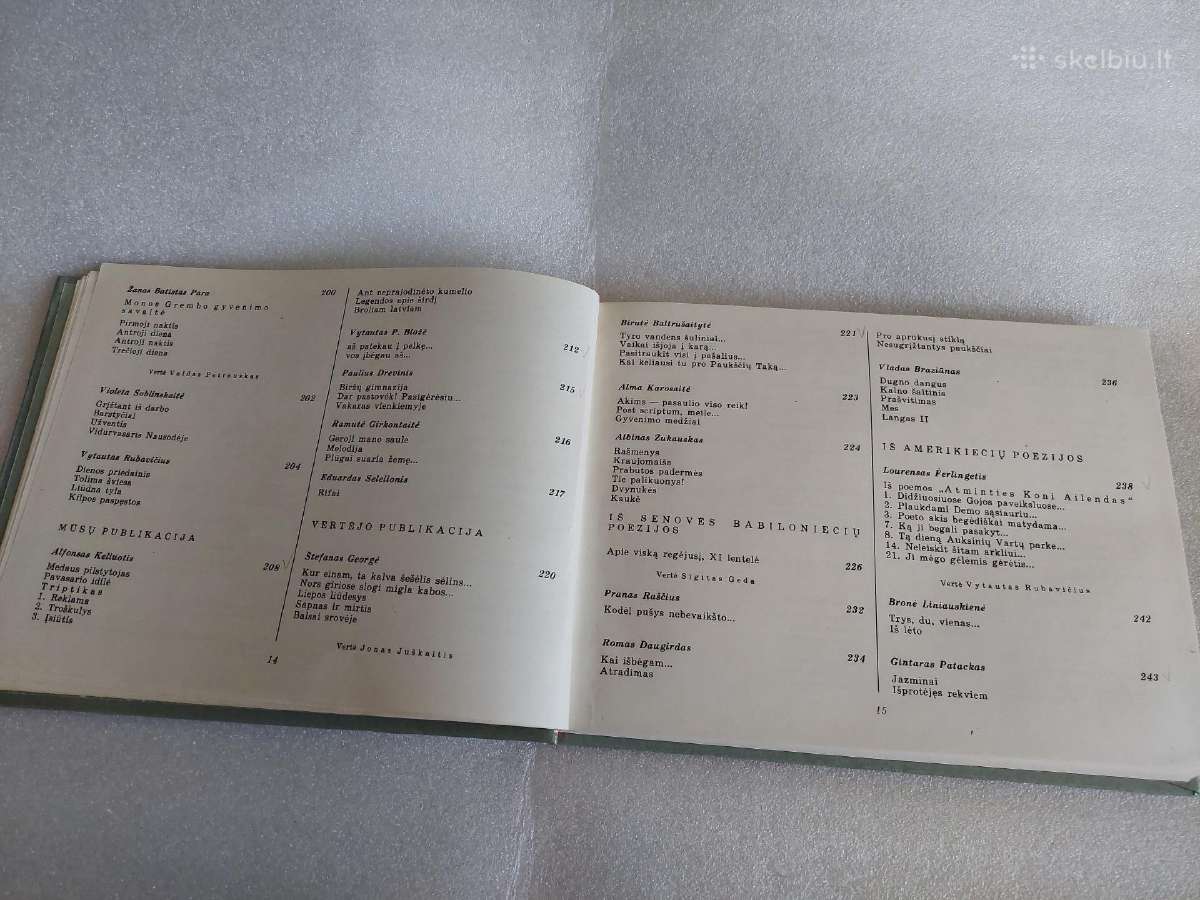 Poezijos pavasaris '85 - nuotraukos Nr. 8