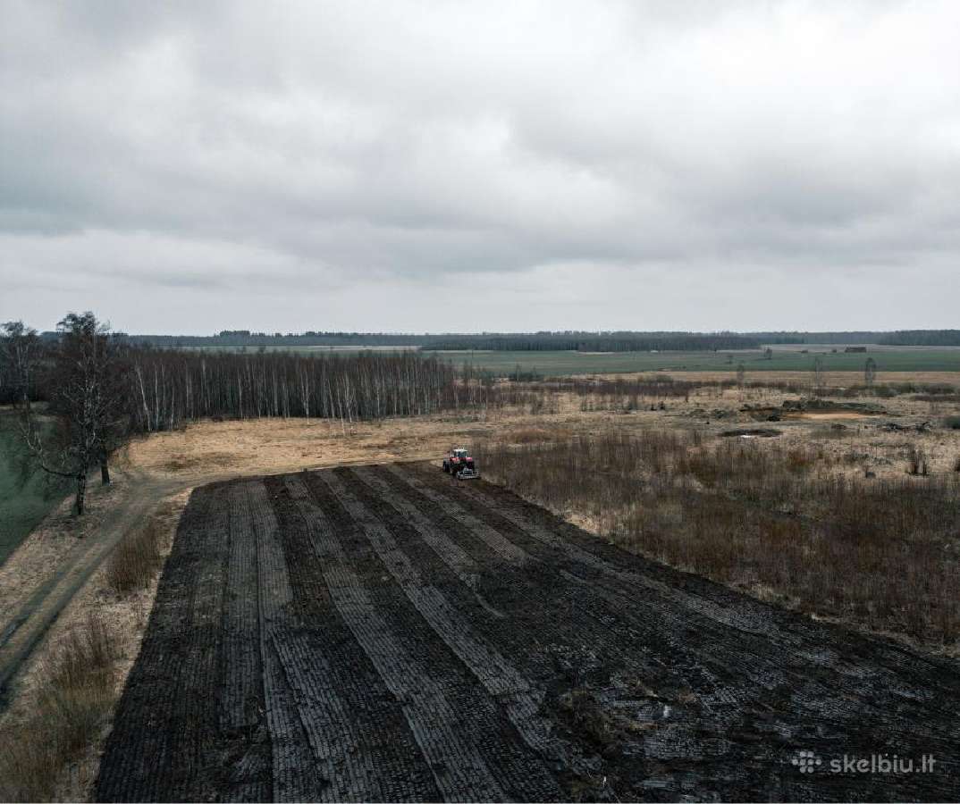 Apleistų laukų tvarkymas, kelmų frezavimas - nuotraukos Nr. 3