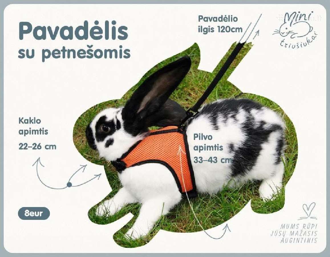 Dideli sulankstomi narvai, Panacur pasta - nuotraukos Nr. 15
