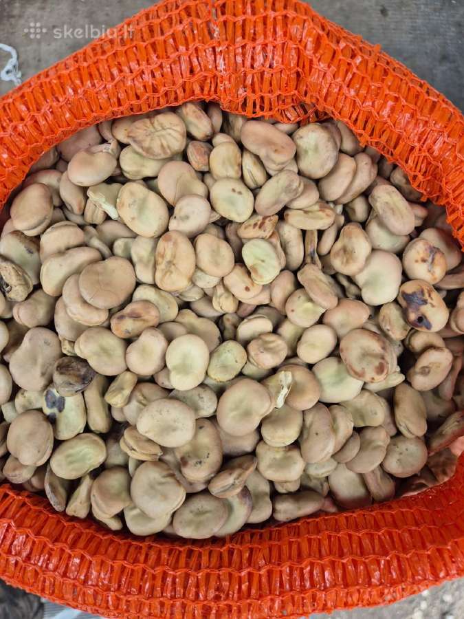 Didziosios pupos, 10kg 40e