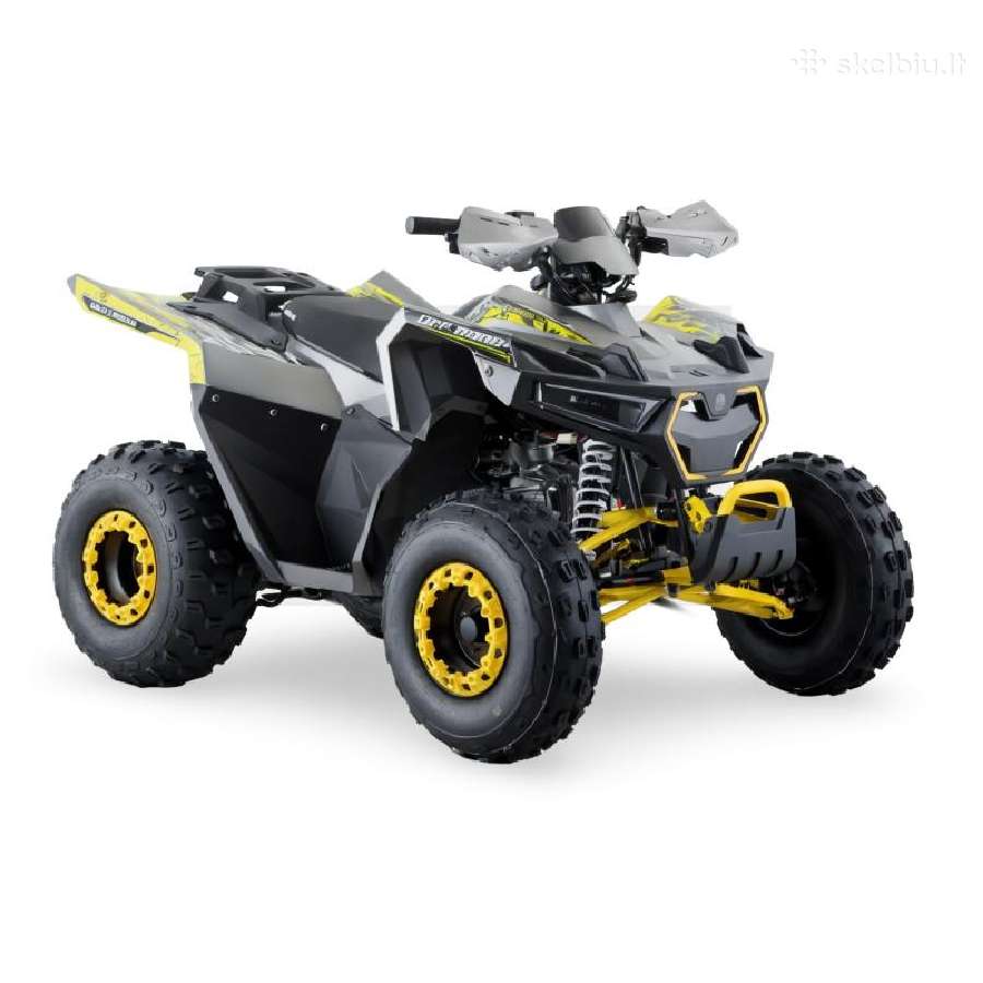 Benzininis keturratis Barton Terrax 125cc - nuotraukos Nr. 2