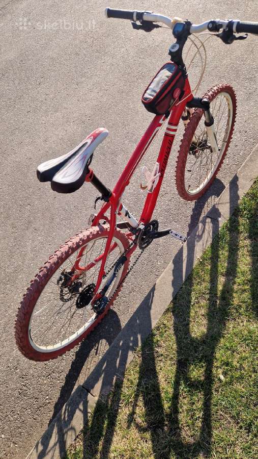 Specialized dviratis - nuotraukos Nr. 5