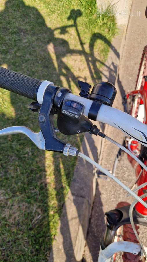 Specialized dviratis - nuotraukos Nr. 6