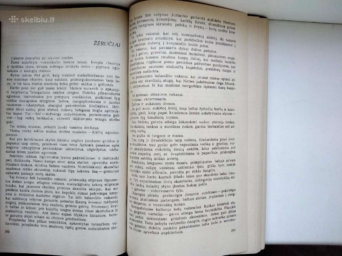 B. Pūkelevičiūtė. Aštuoni lapai - nuotraukos Nr. 6