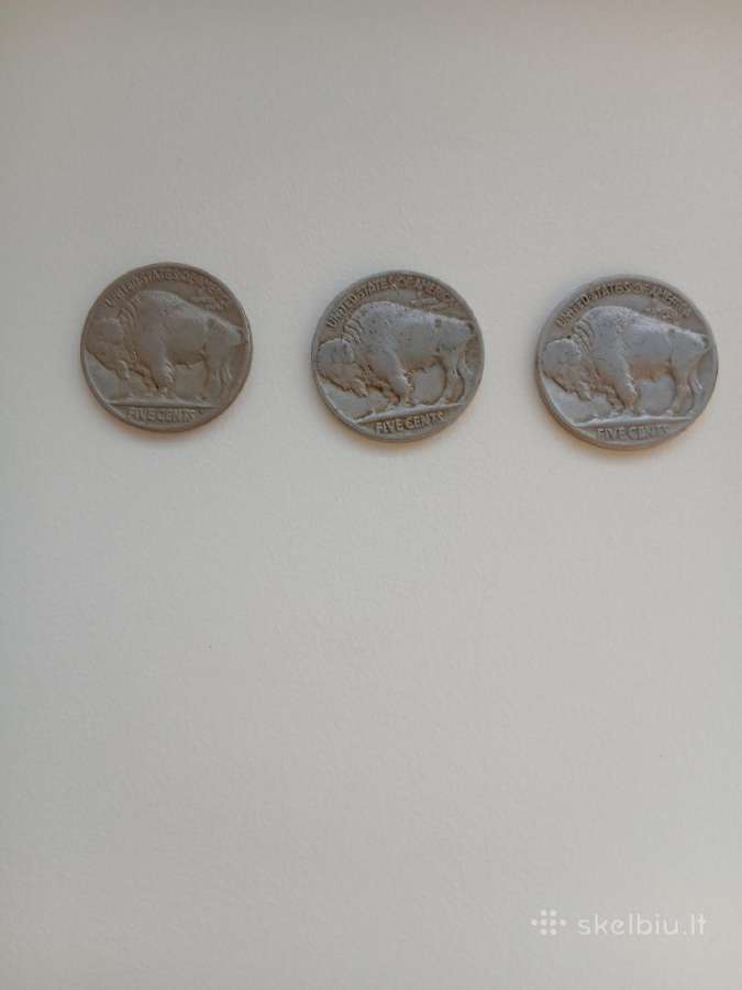 JAV Buffalo 5 centai - nuotraukos Nr. 8