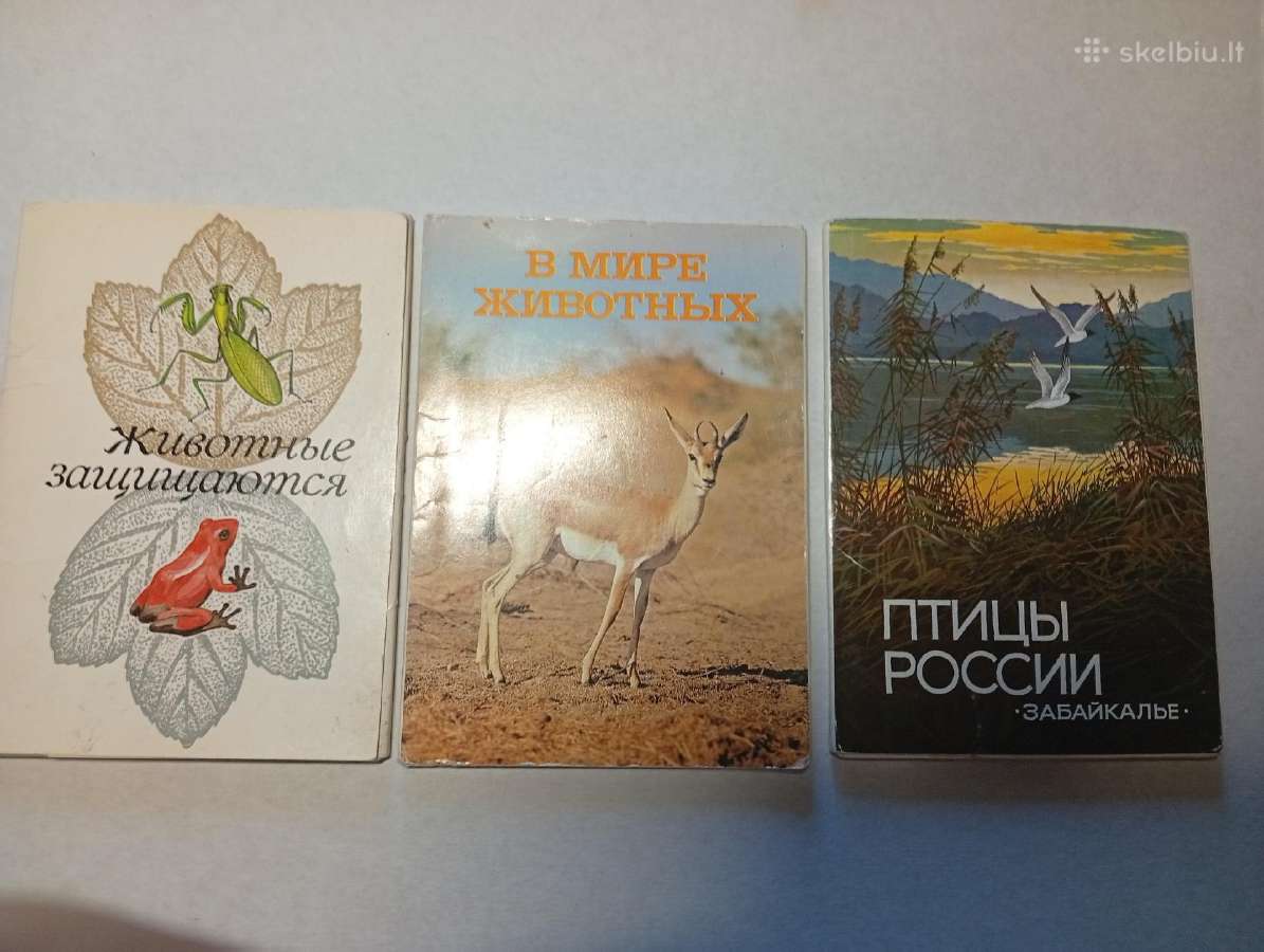 Atvirutes