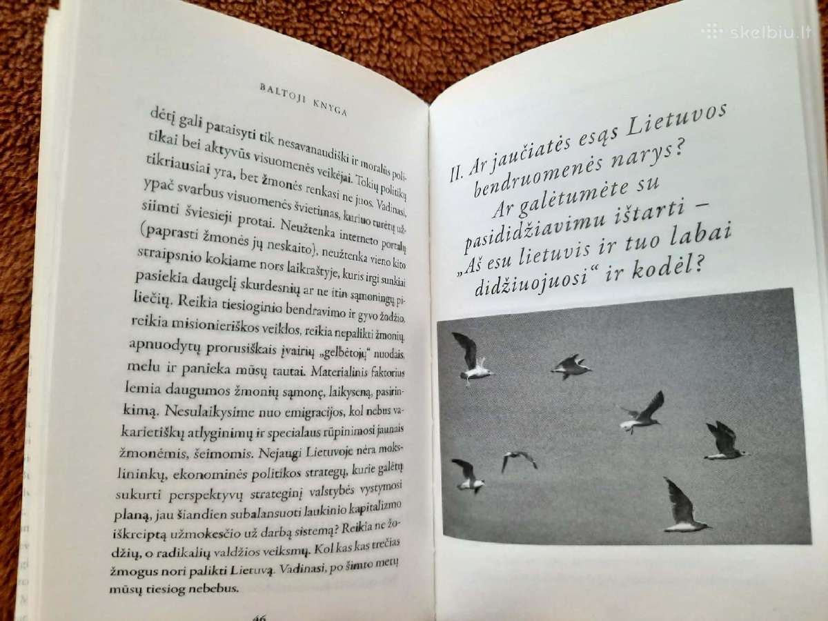 Baltoji knyga - nuotraukos Nr. 3