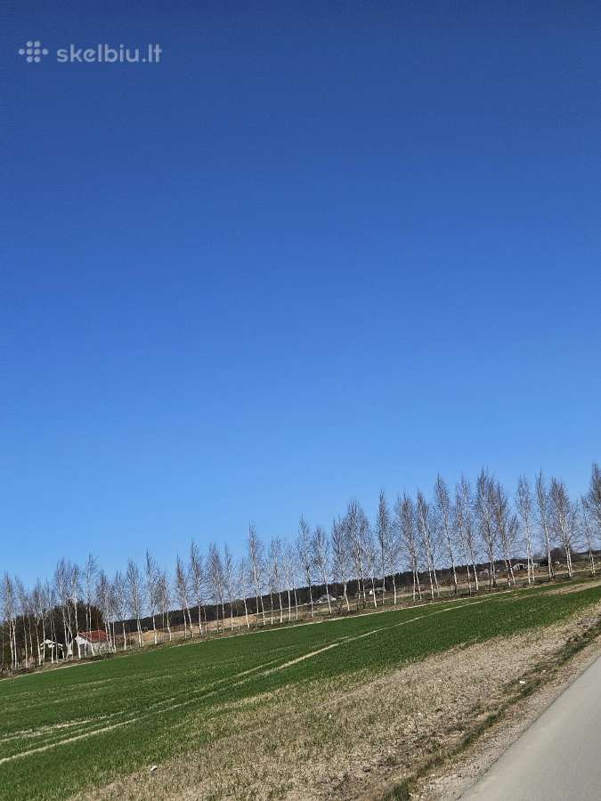 Parduodami naujai statomi namai 6 namų kvartale. - nuotraukos Nr. 17
