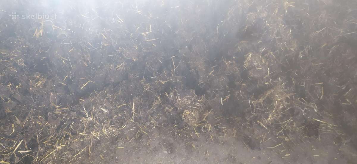 Dovanoju galvijų mėšlą su šiaudais