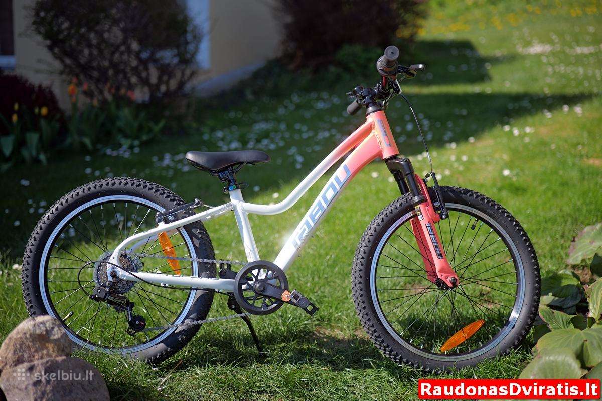 Naujas 20" Tabou rožinis