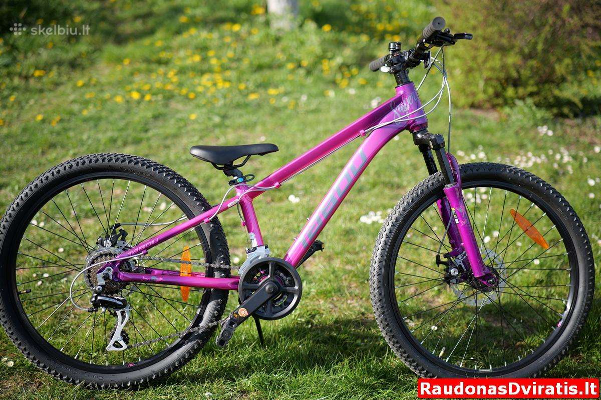 Naujas 24" Tabou violetinis