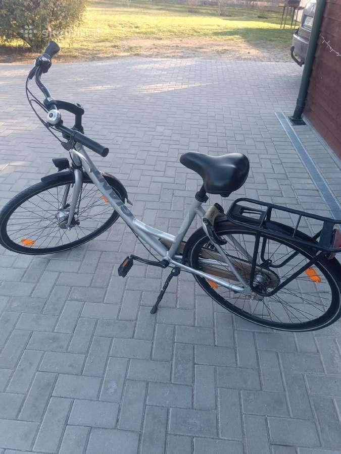 28 coliu Giant