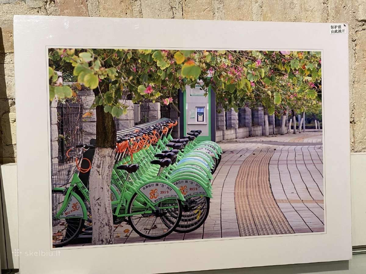 Paveikslas foto - nuotraukos Nr. 7