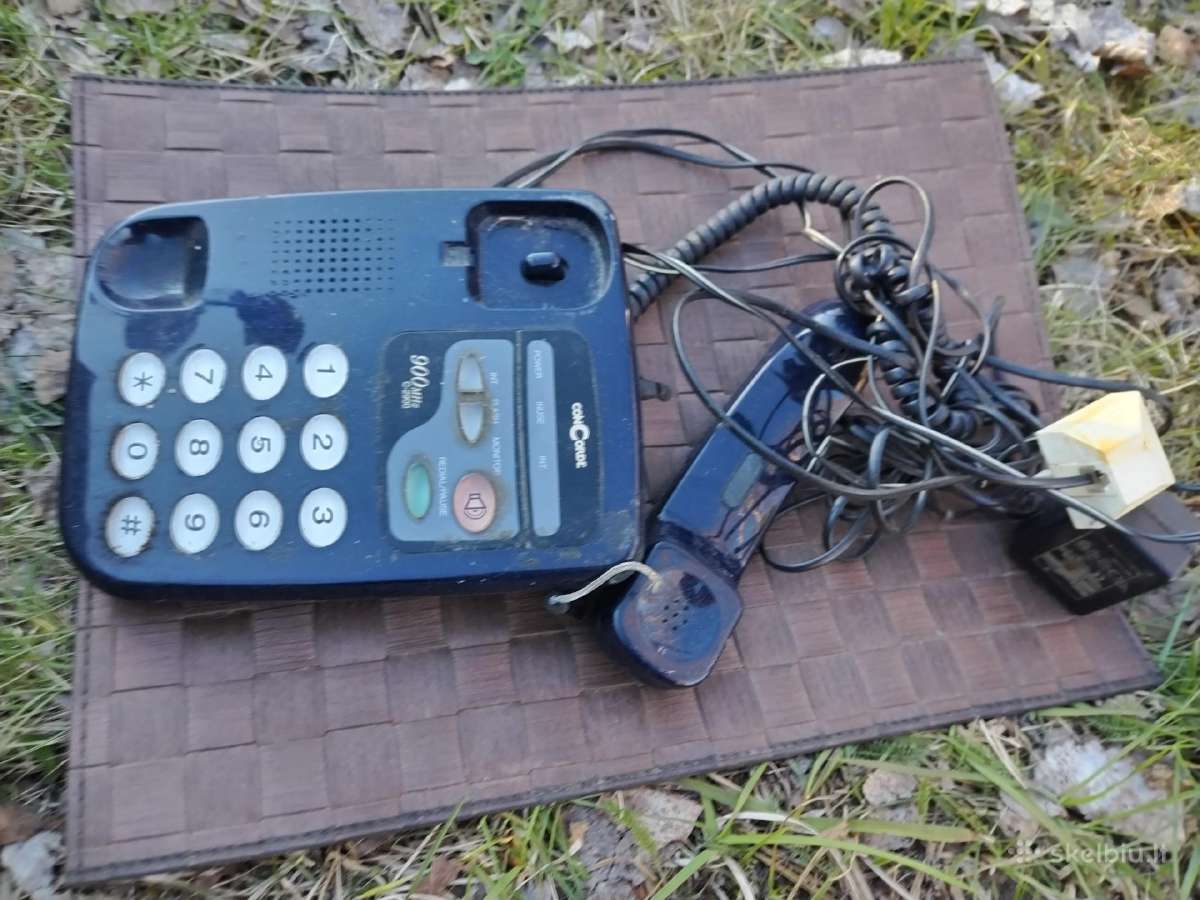 Laidinis telefonas