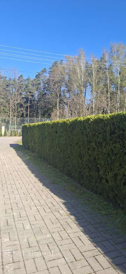 Gyvatvorių karpymas. Jonava, Kaunas, Ukmergė - nuotraukos Nr. 22
