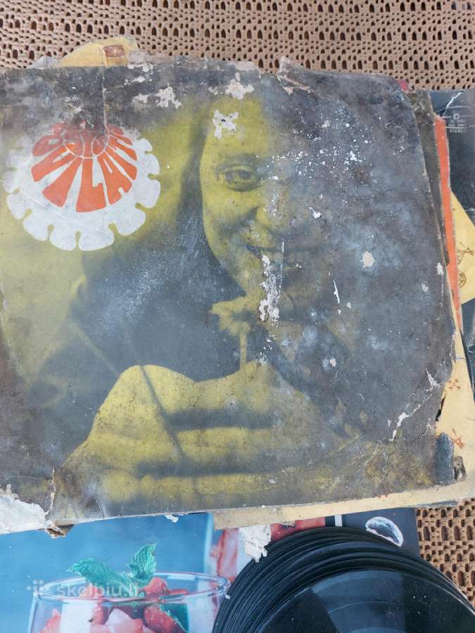 Vinilines ploksteles - nuotraukos Nr. 3