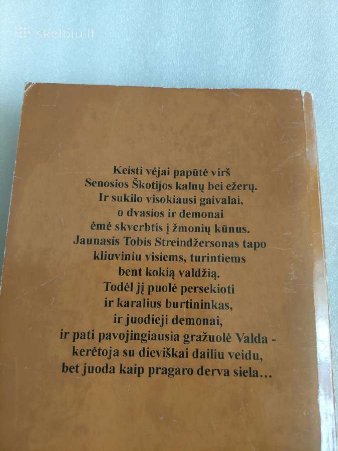 Demono kardas - nuotraukos Nr. 3