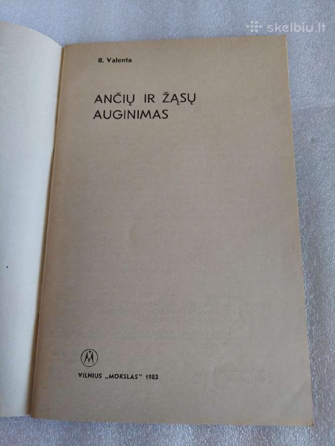 Ančių ir žąsų auginimas - nuotraukos Nr. 2