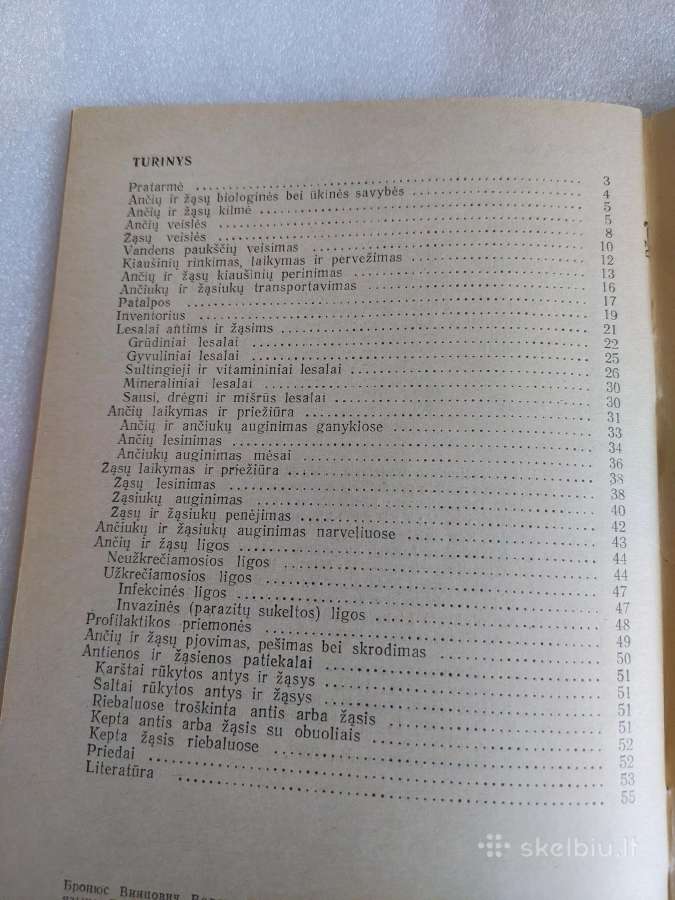 Ančių ir žąsų auginimas - nuotraukos Nr. 6