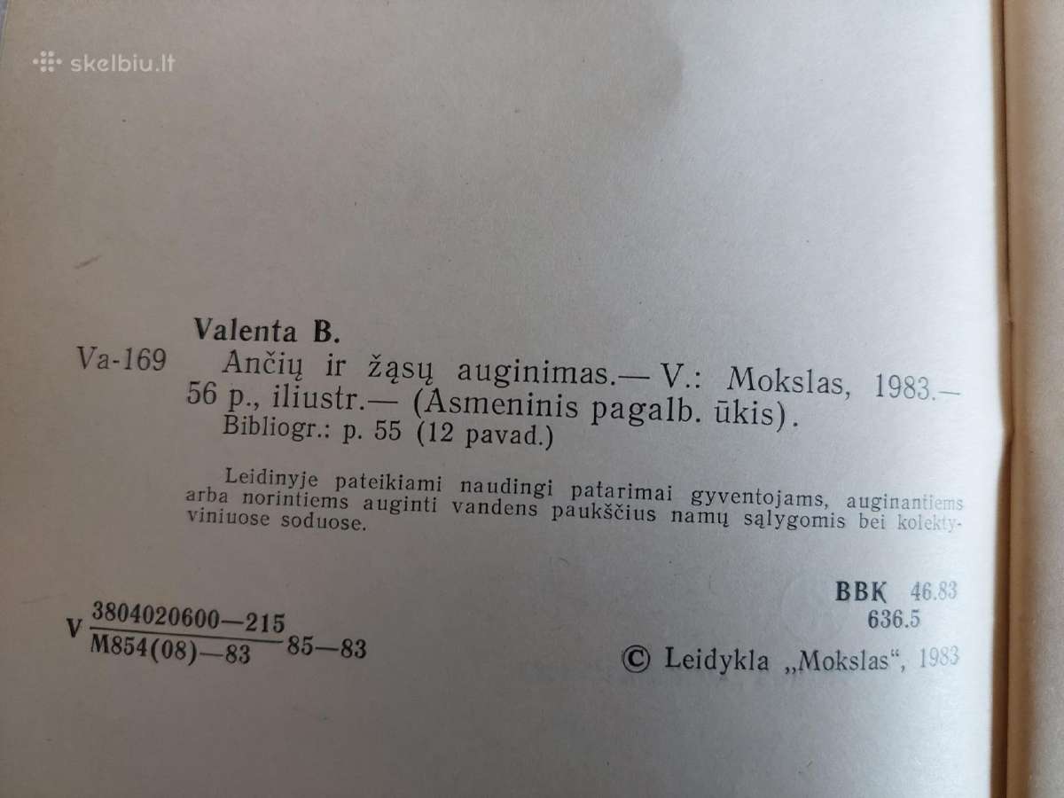 Ančių ir žąsų auginimas - nuotraukos Nr. 3
