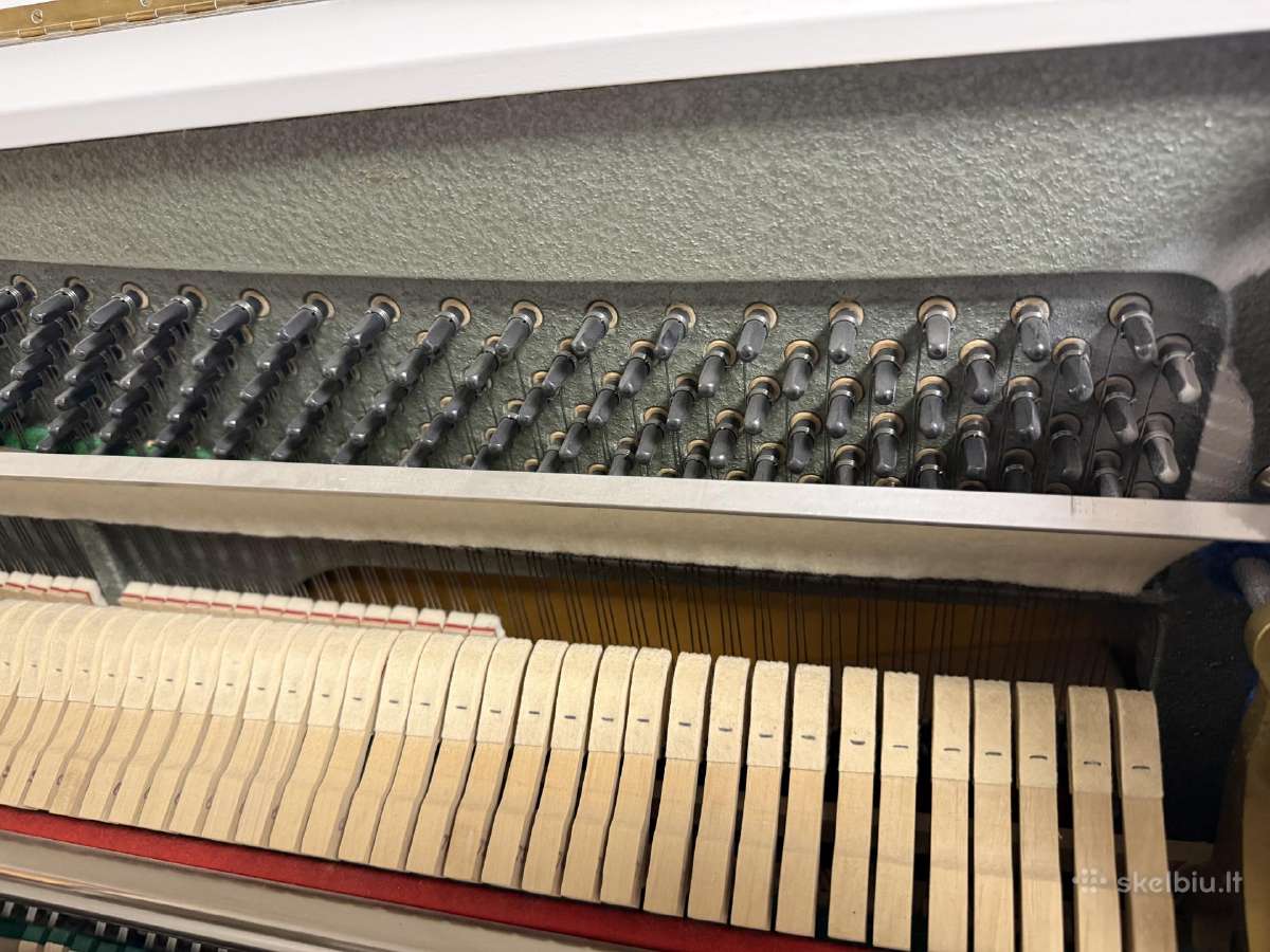 Pianas, Nordiska Piano Classica mod.110 Renner - nuotraukos Nr. 5