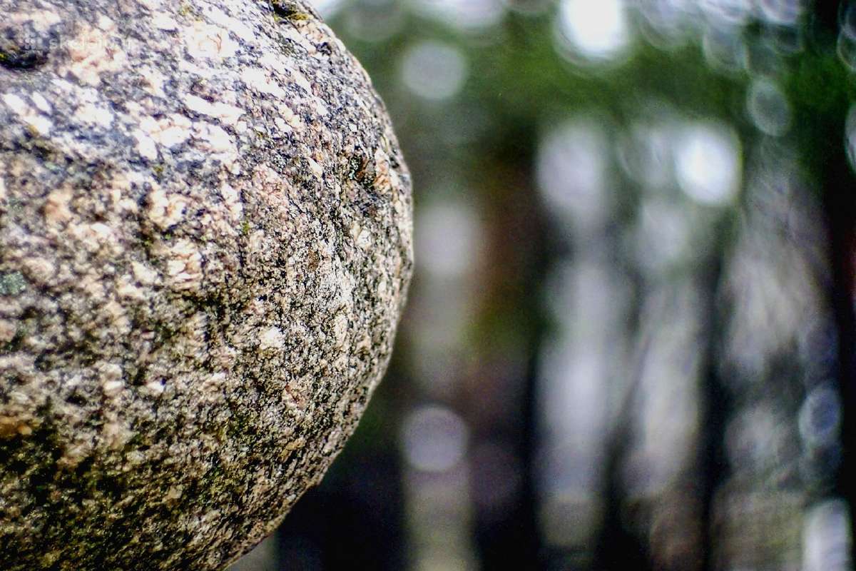 Įvairūs objektyvai fotoaparatams - nuotraukos Nr. 11