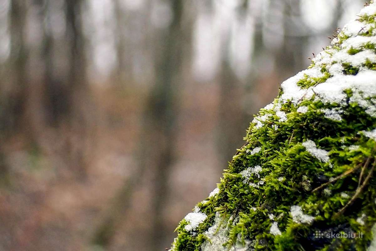 Įvairūs objektyvai fotoaparatams - nuotraukos Nr. 14
