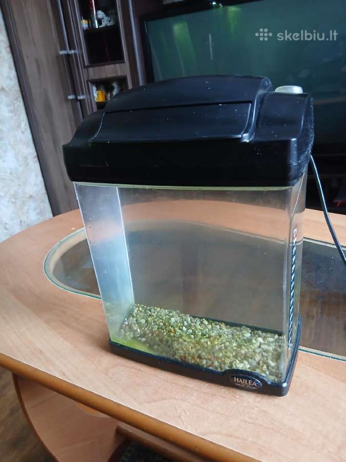 Akvariumas