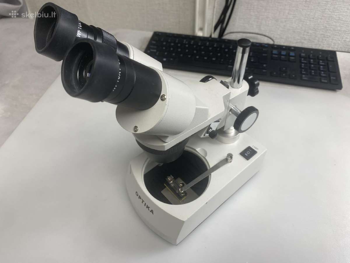 Stereo mikroskopas Optika